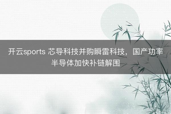 开云sports 芯导科技并购瞬雷科技，国产功率半导体加快补链解围