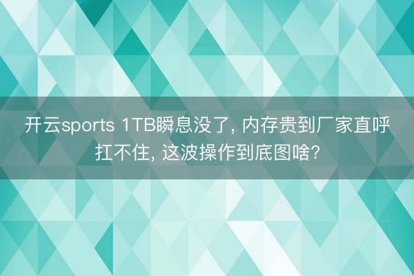 开云sports 1TB瞬息没了, 内存贵到厂家直呼扛不住, 这波操作到底图啥?
