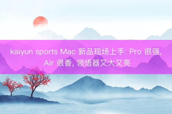 kaiyun sports Mac 新品现场上手: Pro 很强， Air 很香， 领悟器又大又亮